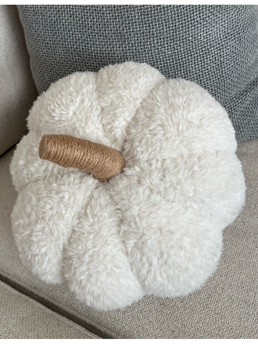 Pottery Barn Plush White Decorative Pumpkin Pillow with Twine Stem